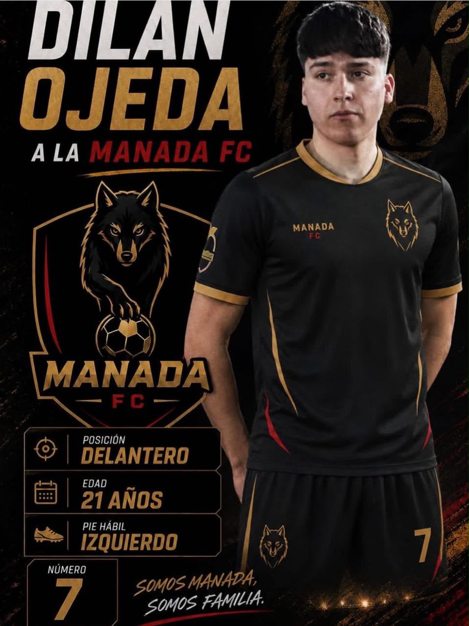 Dilan Martin Ojeda Riquelme